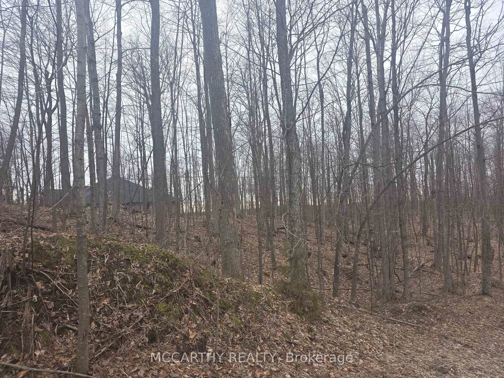 Photo 6 of Lot 9 PT LT 25, CON Rd 8, West Grey — HOMEH