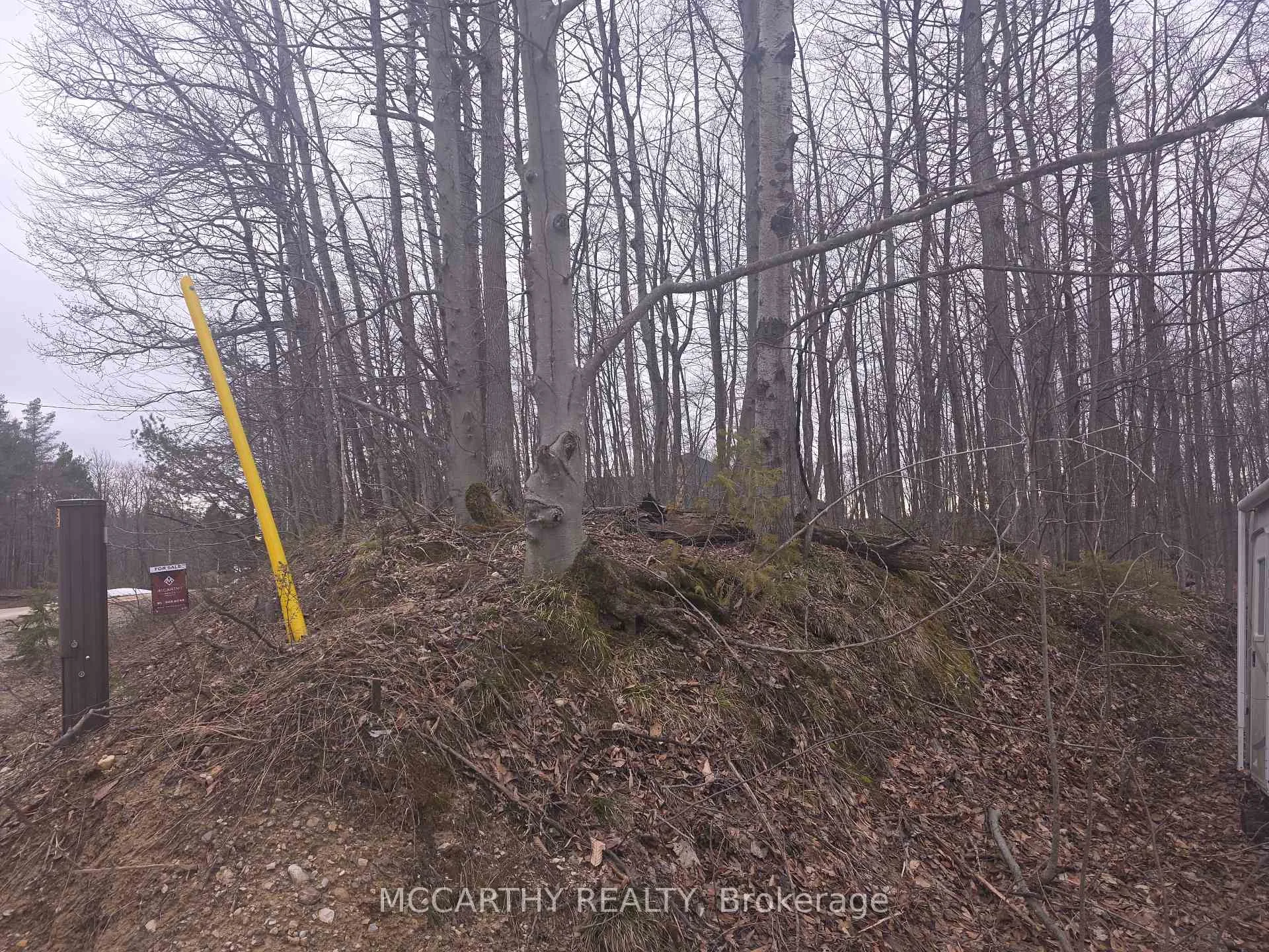 Photo 8 of Lot 9 PT LT 25, CON Rd 8, West Grey — HOMEH