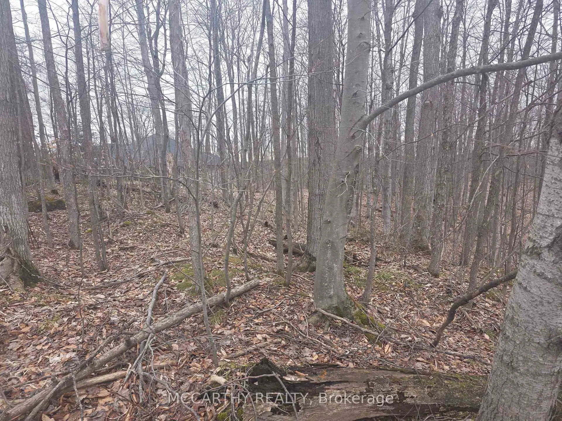 Photo 9 of Lot 9 PT LT 25, CON Rd 8, West Grey — HOMEH