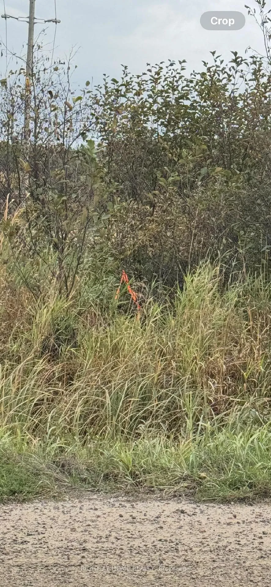 Photo 18 of Pt 1&2 Levert Drive, West Nipissing, Sturgeon Falls — HOMEH