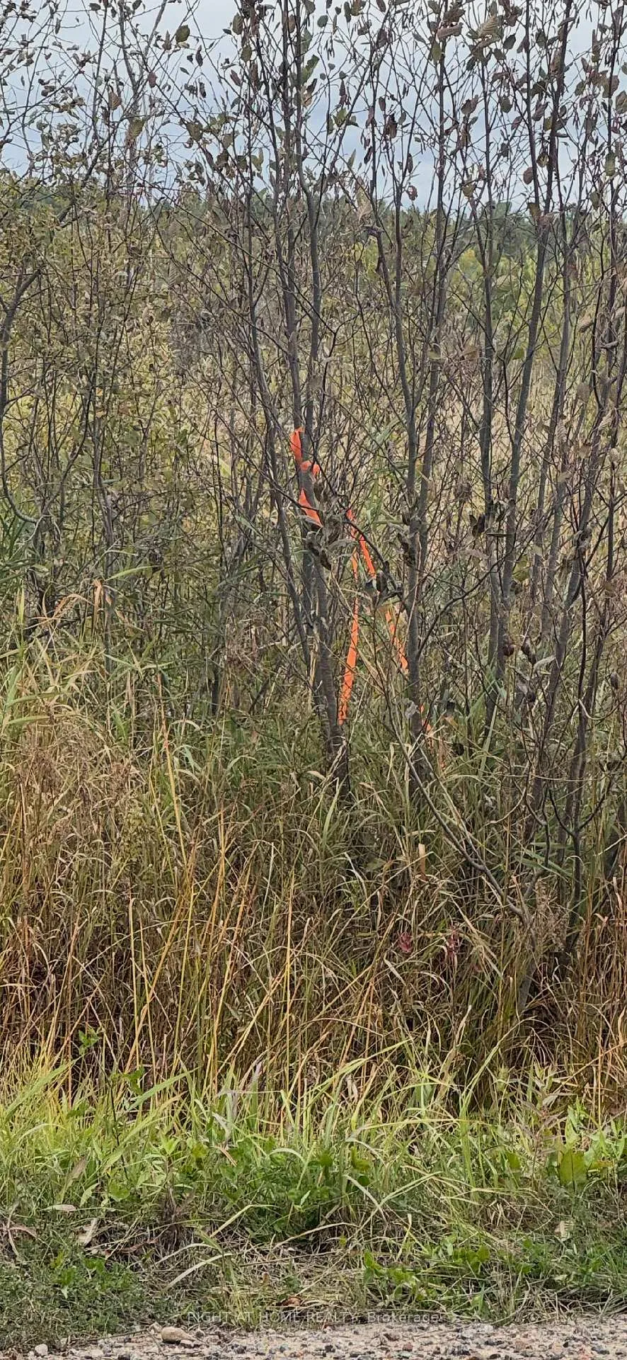 Photo 20 of Pt 1&2 Levert Drive, West Nipissing, Sturgeon Falls — HOMEH