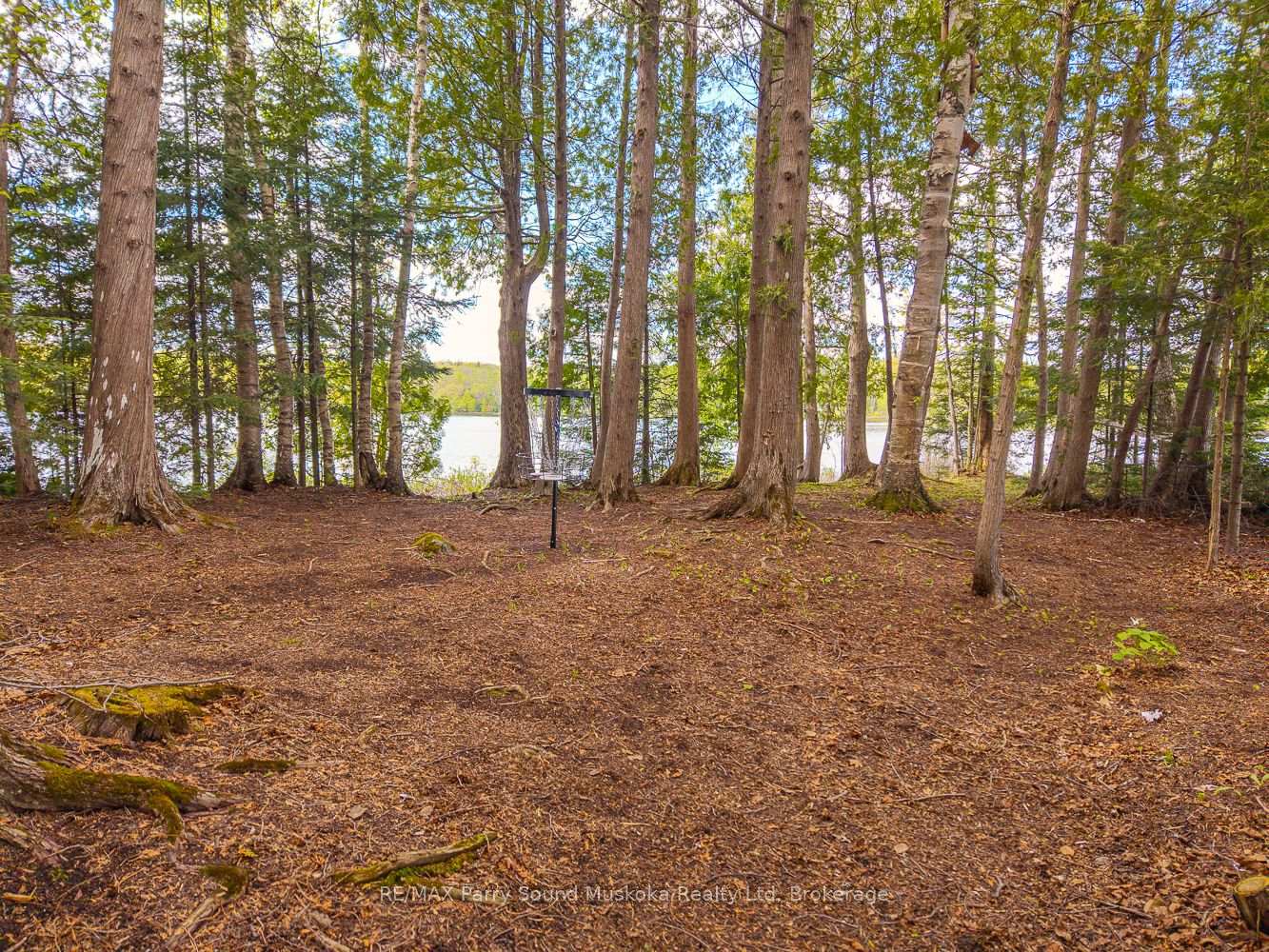 Photo 14 of 24 Pine Grove, Whitestone, Hagerman — HOMEH