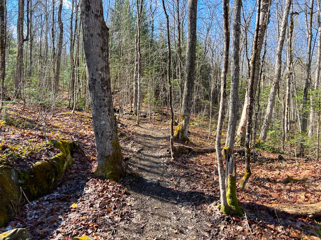 Photo 5 of 290 Whitestone Lake Road, Whitestone, Hagerman — HOMEH