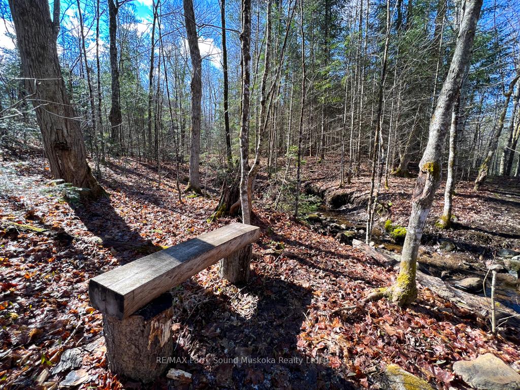 Photo 6 of 290 Whitestone Lake Road, Whitestone, Hagerman — HOMEH