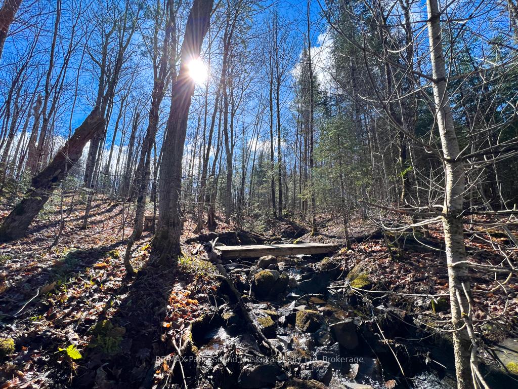 Photo 8 of 290 Whitestone Lake Road, Whitestone, Hagerman — HOMEH