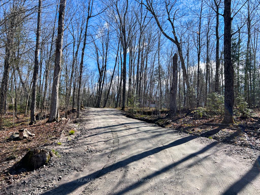 Photo 10 of 290 Whitestone Lake Road, Whitestone, Hagerman — HOMEH