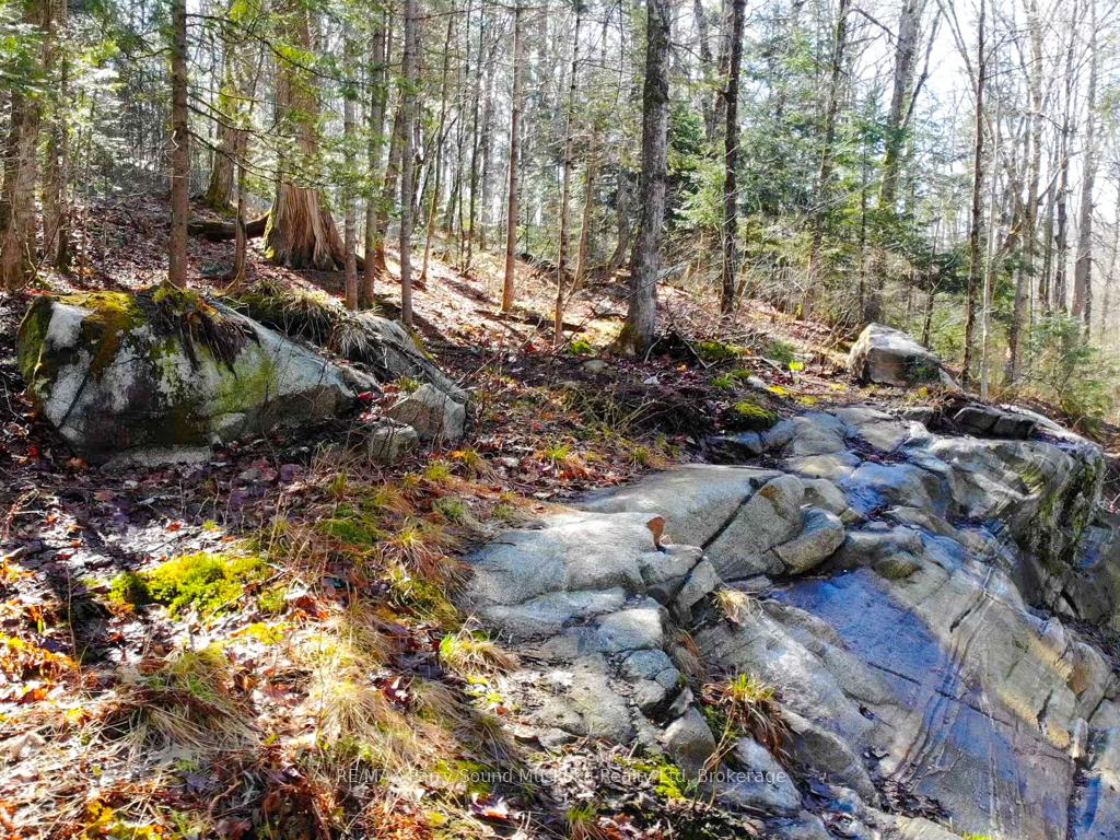 Photo 13 of 290 Whitestone Lake Road, Whitestone, Hagerman — HOMEH