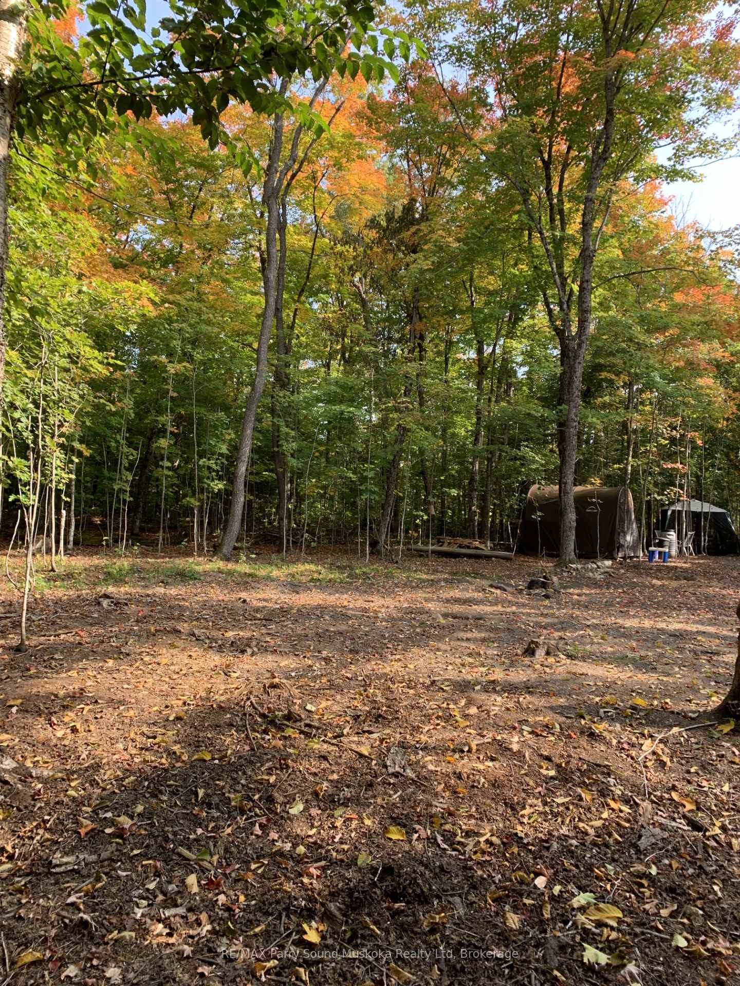 Photo 14 of 290 Whitestone Lake Road, Whitestone, Hagerman — HOMEH