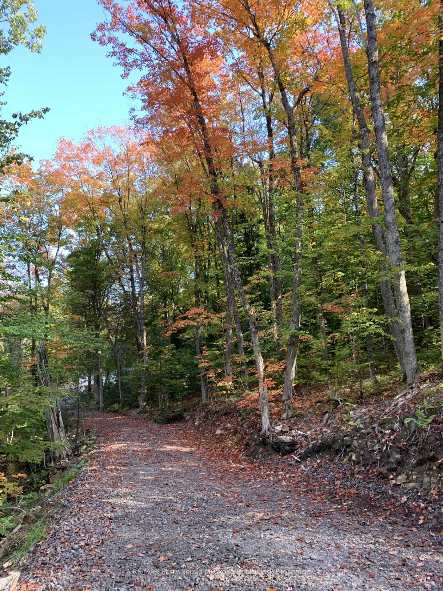 Photo 18 of 290 Whitestone Lake Road, Whitestone, Hagerman — HOMEH
