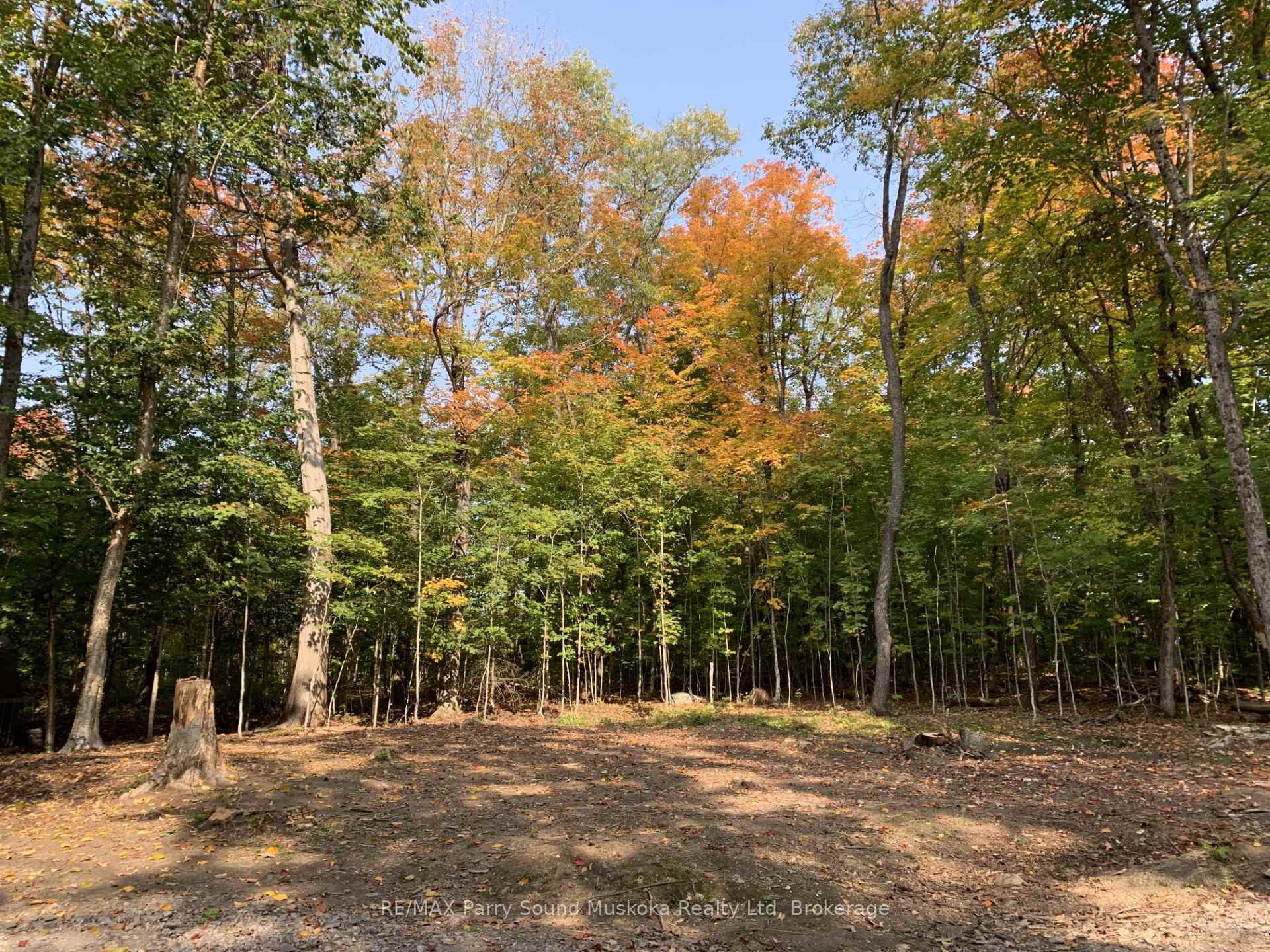 Photo 19 of 290 Whitestone Lake Road, Whitestone, Hagerman — HOMEH