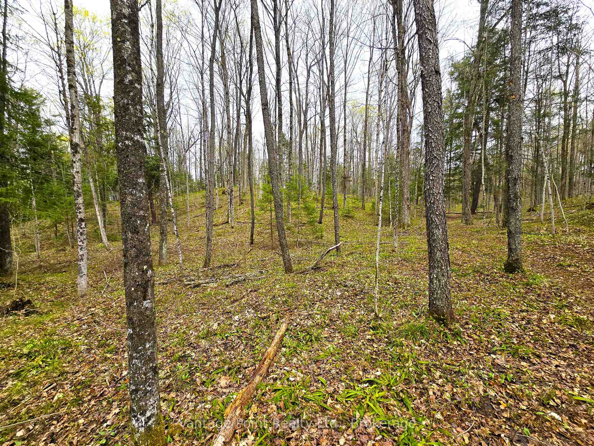 Photo 39 of 233154 2 Wgr Concession, West Grey — HOMEH