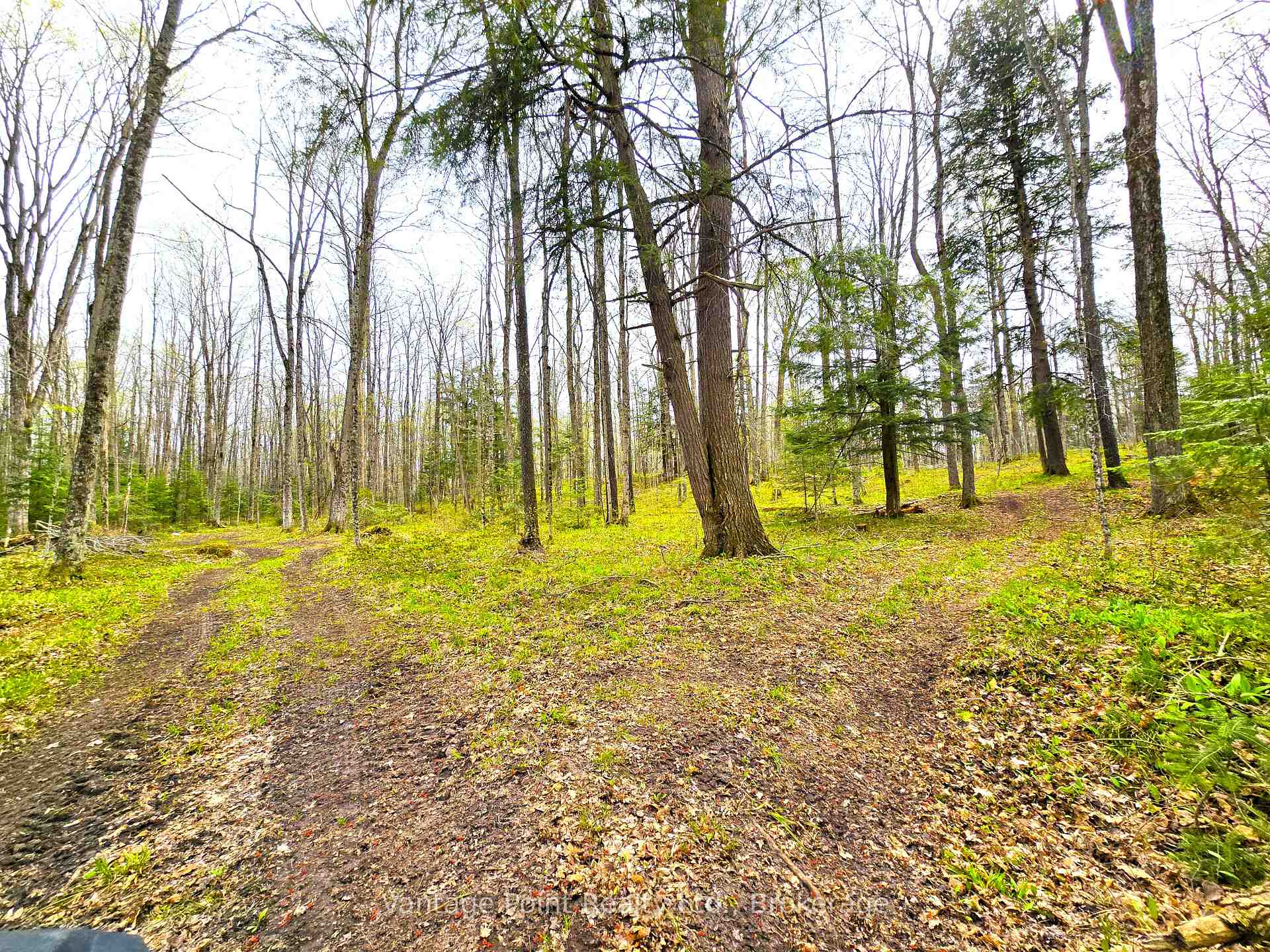 Photo 40 of 233154 2 Wgr Concession, West Grey — HOMEH