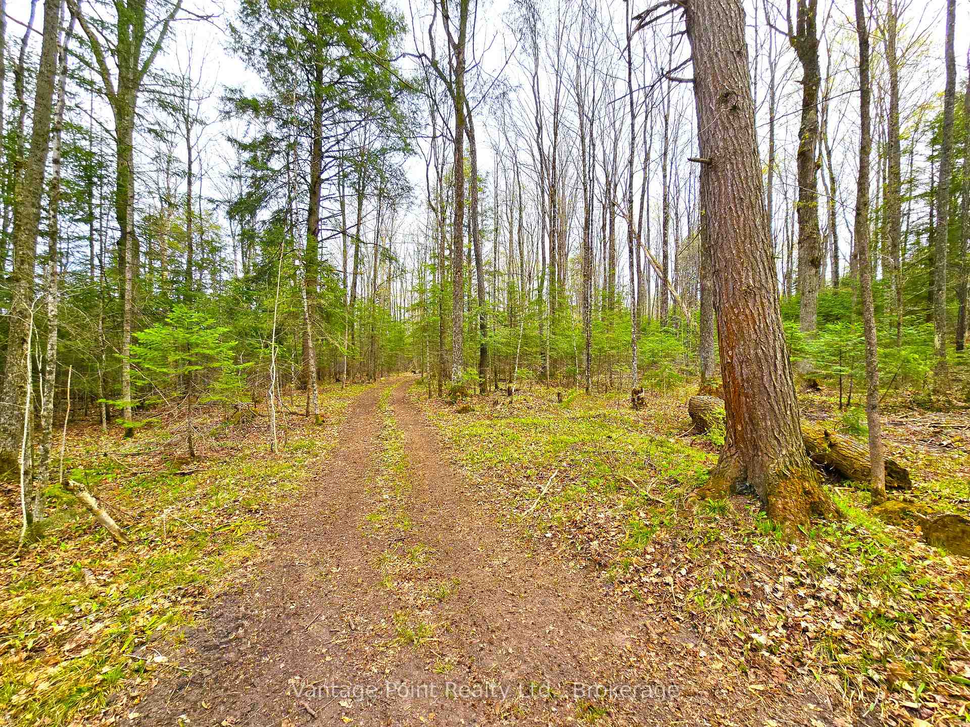 Photo 41 of 233154 2 Wgr Concession, West Grey — HOMEH