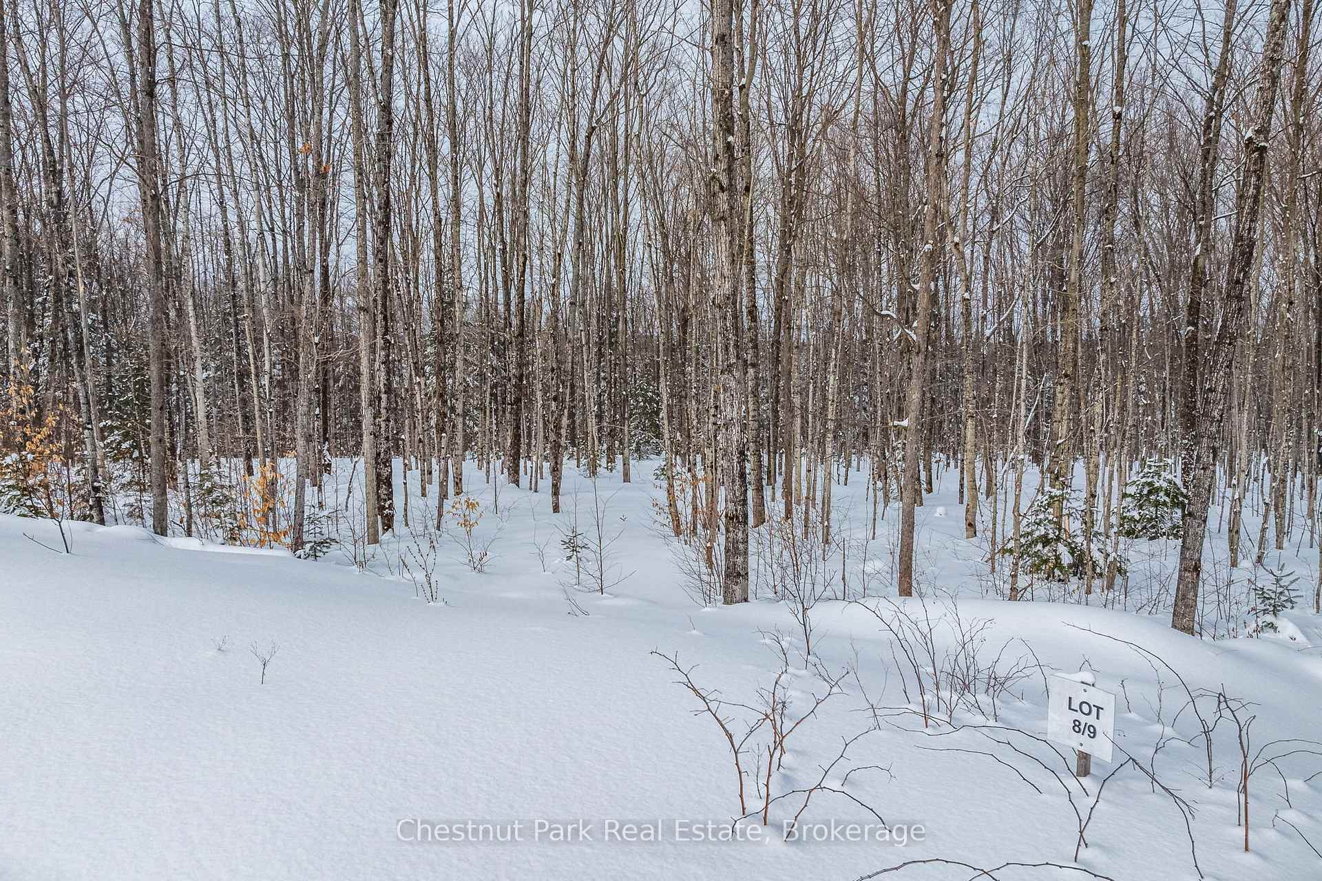 Photo 27 of Lot 8 Millie's Way, Armour — HOMEH