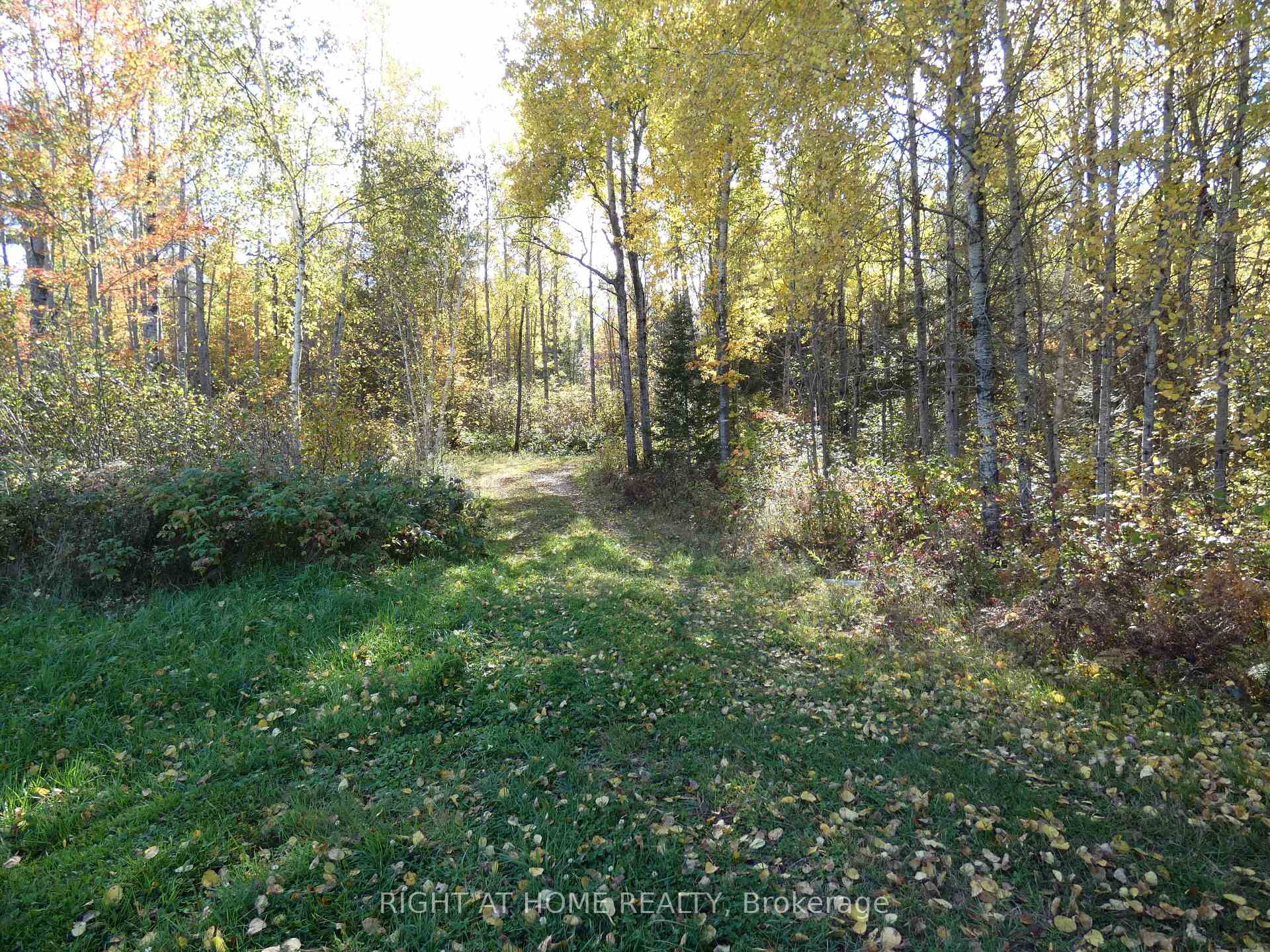Photo 6 of Pt 1 Mcdonald Road, West Nipissing, Verner — HOMEH