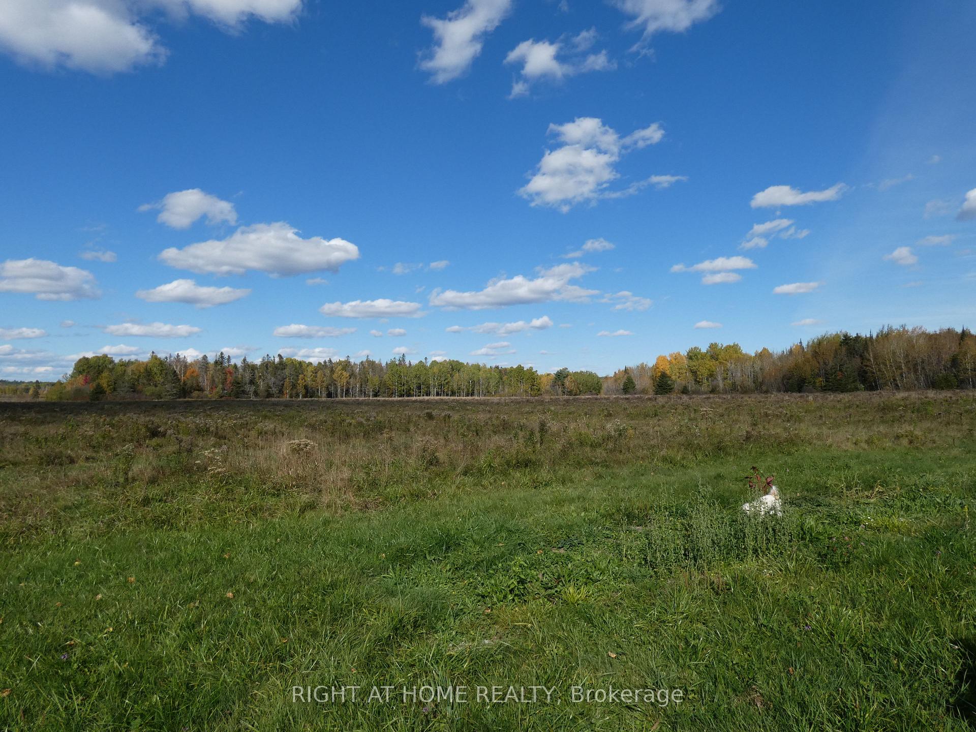 Photo 14 of Pt 1 Mcdonald Road, West Nipissing, Verner — HOMEH