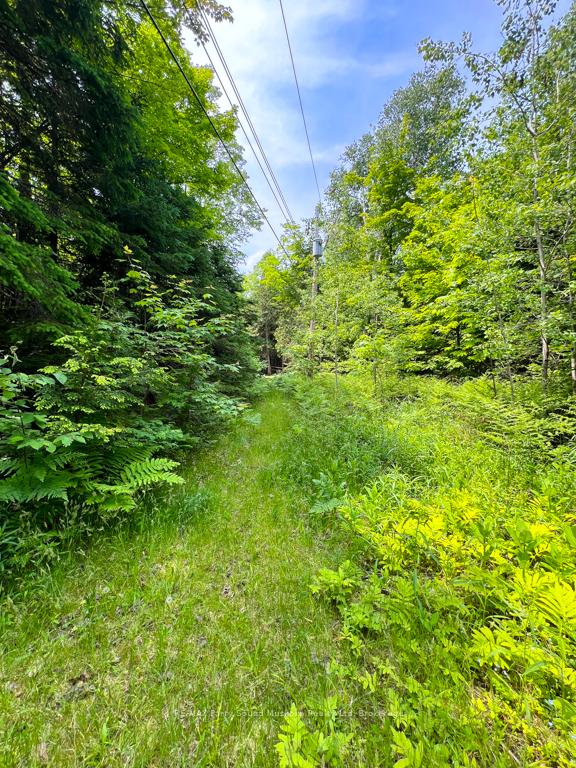 Photo 16 of 802 Whitestone Lake, Whitestone, Hagerman — HOMEH
