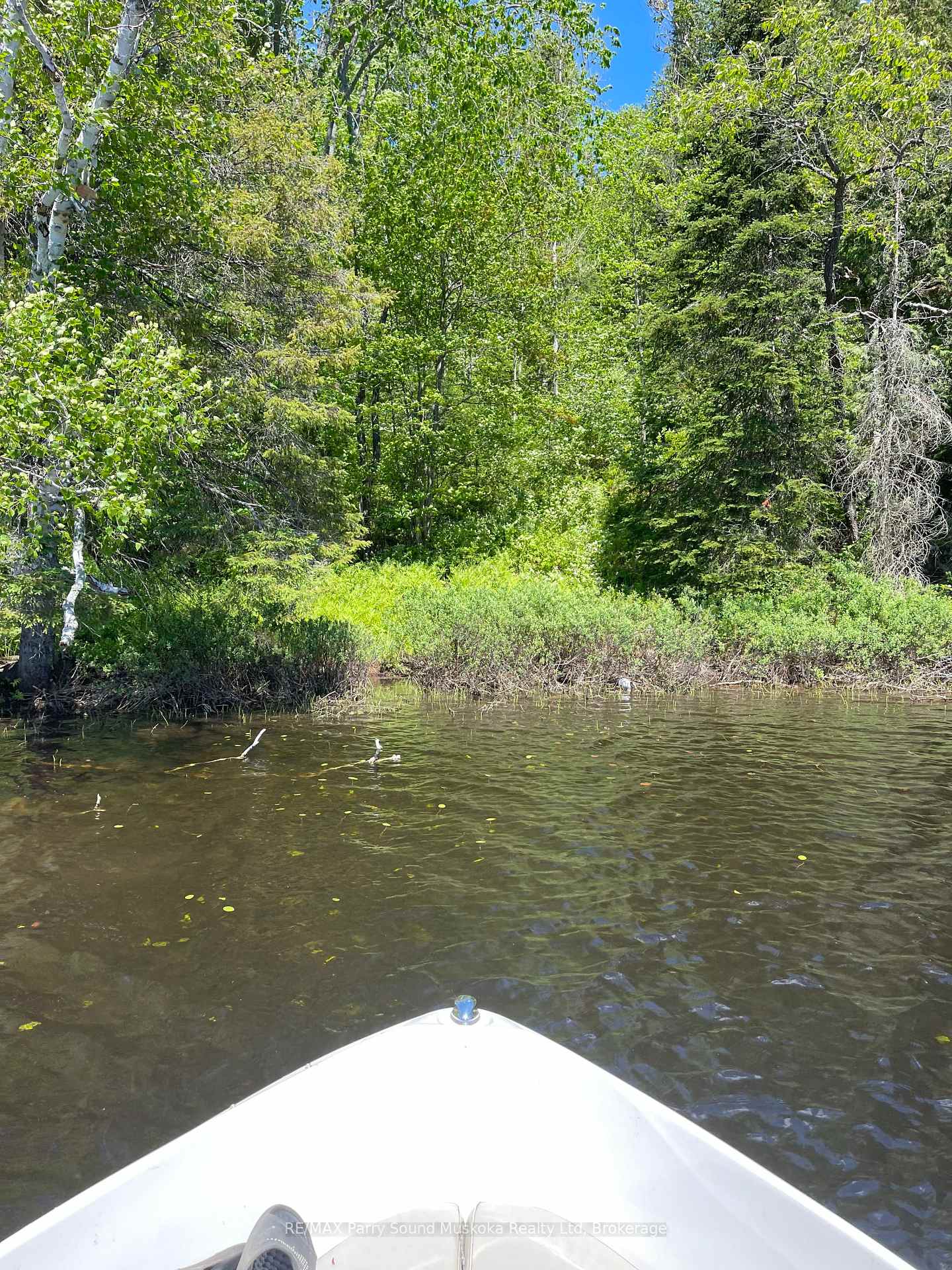Photo 2 of 93 Shawanaga River, Whitestone — HOMEH