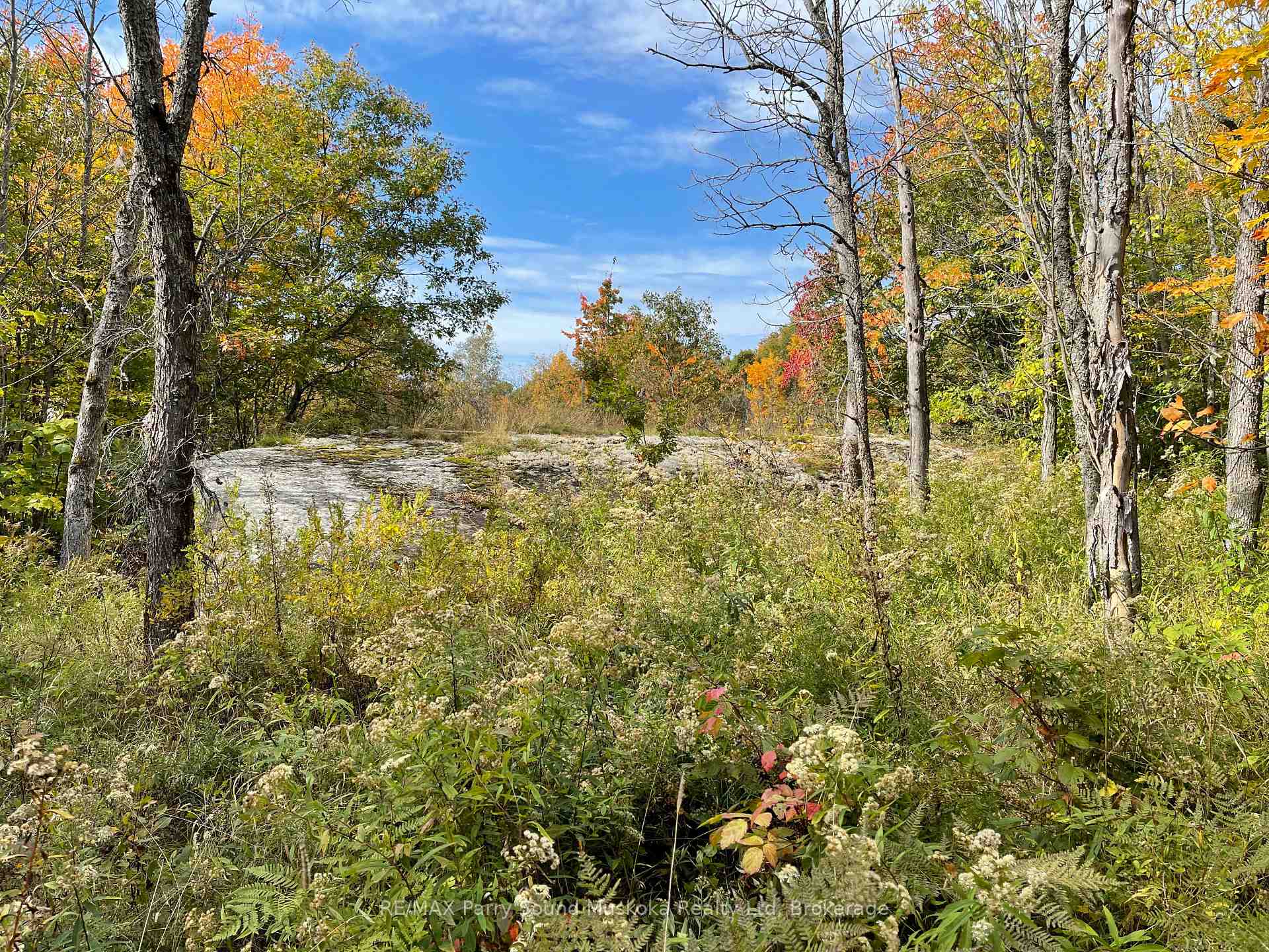 Photo 3 of 93 Shawanaga River, Whitestone — HOMEH