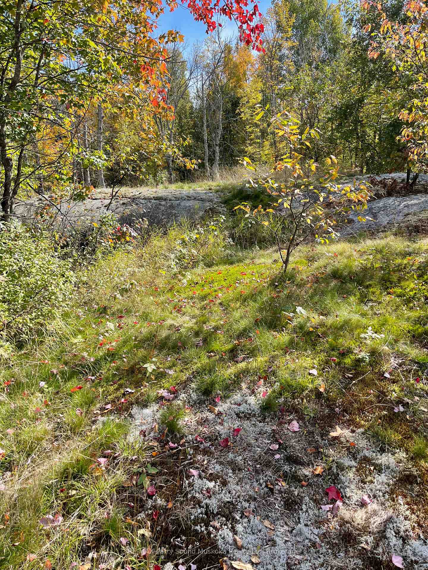 Photo 4 of 93 Shawanaga River, Whitestone — HOMEH