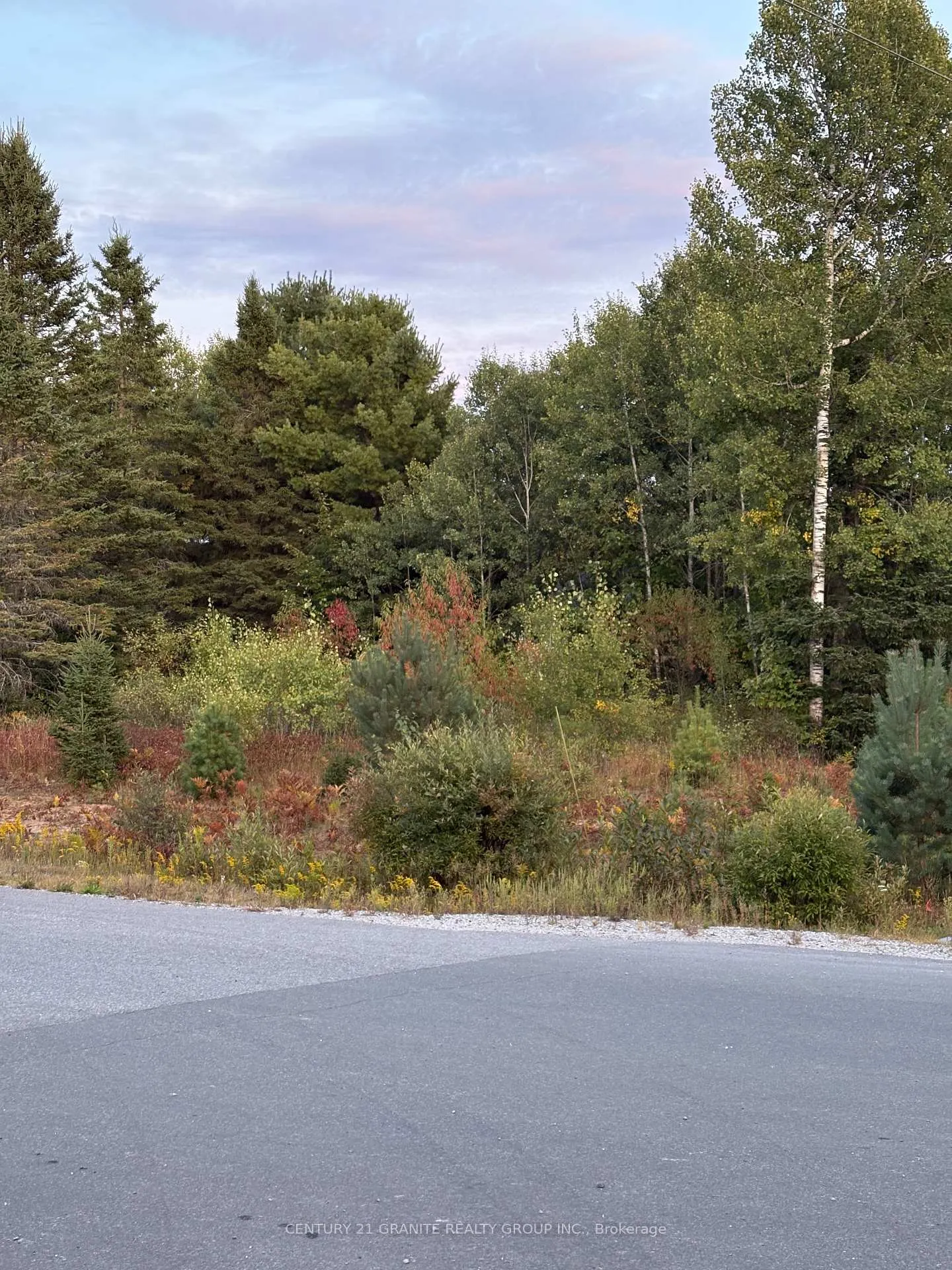 Photo 6 of LT 13 Nicklaus Drive, Bancroft, Bancroft Ward — HOMEH
