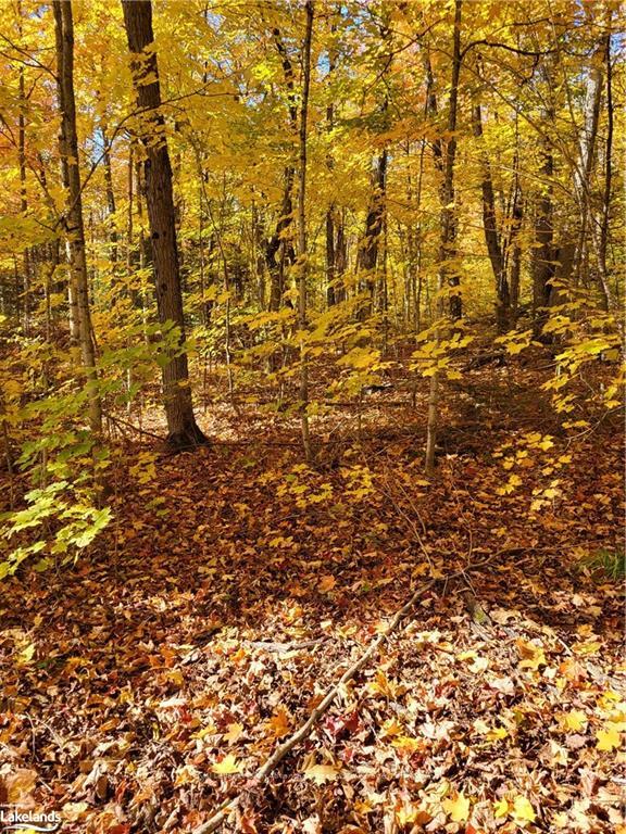 Photo 2 of 1140 Gooseneck, Whitestone — HOMEH