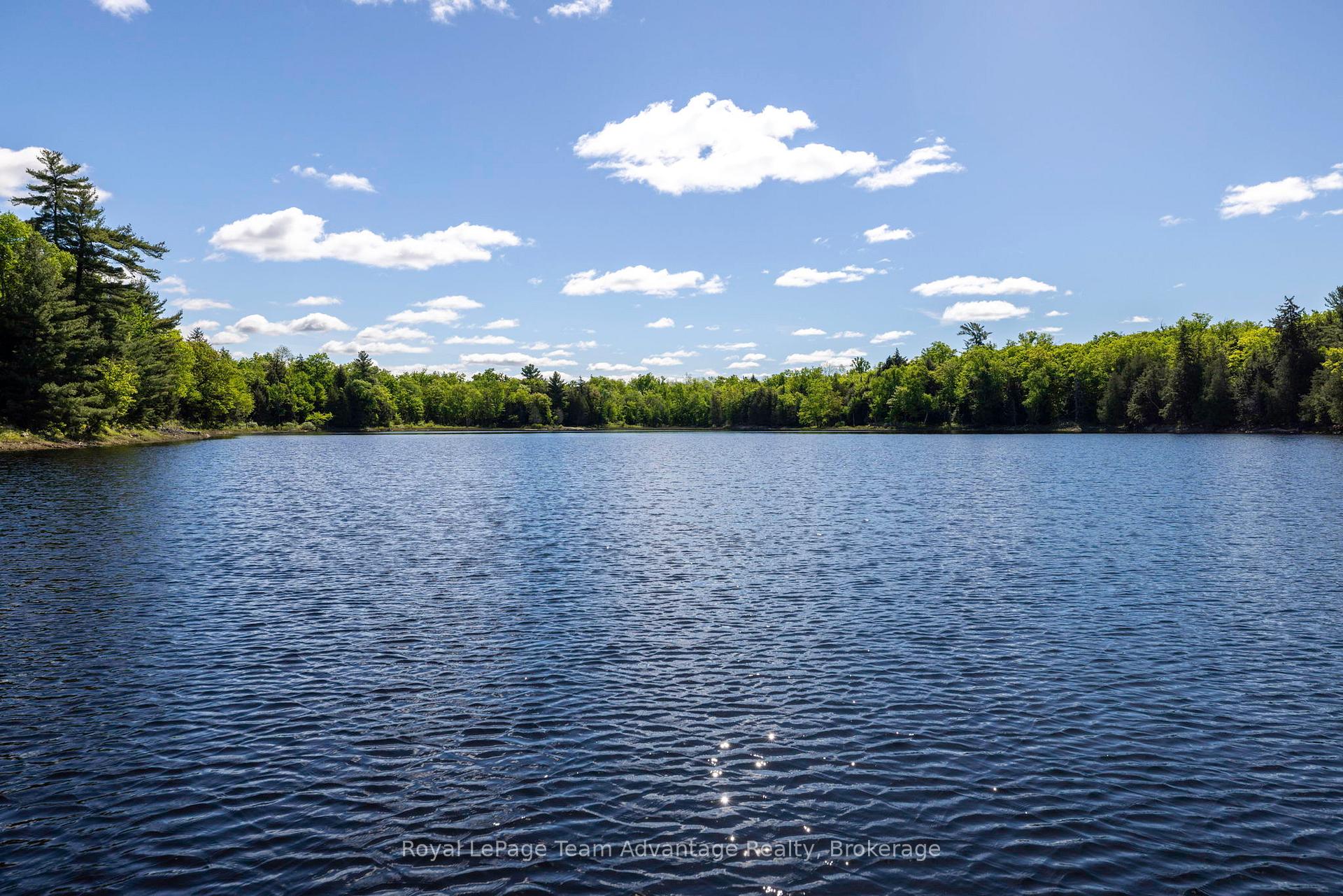 Photo 33 of 7WA Wahwashkesh, Whitestone — HOMEH