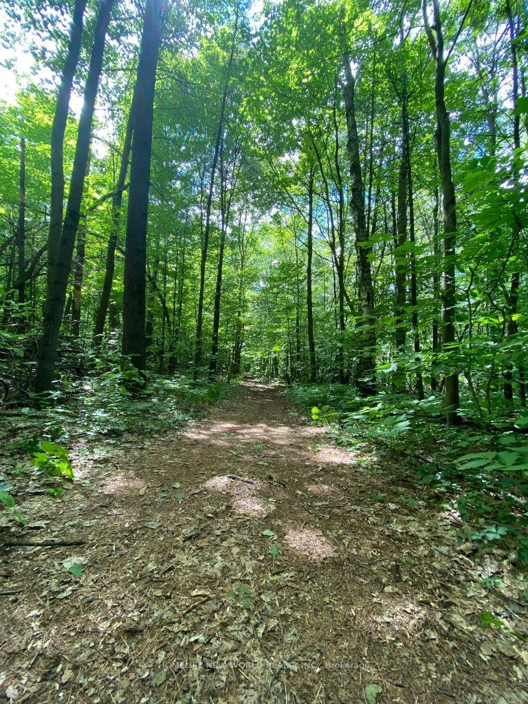 Photo 46 of 100 Bassett Boulevard, Whitby, Pringle Creek — HOMEH