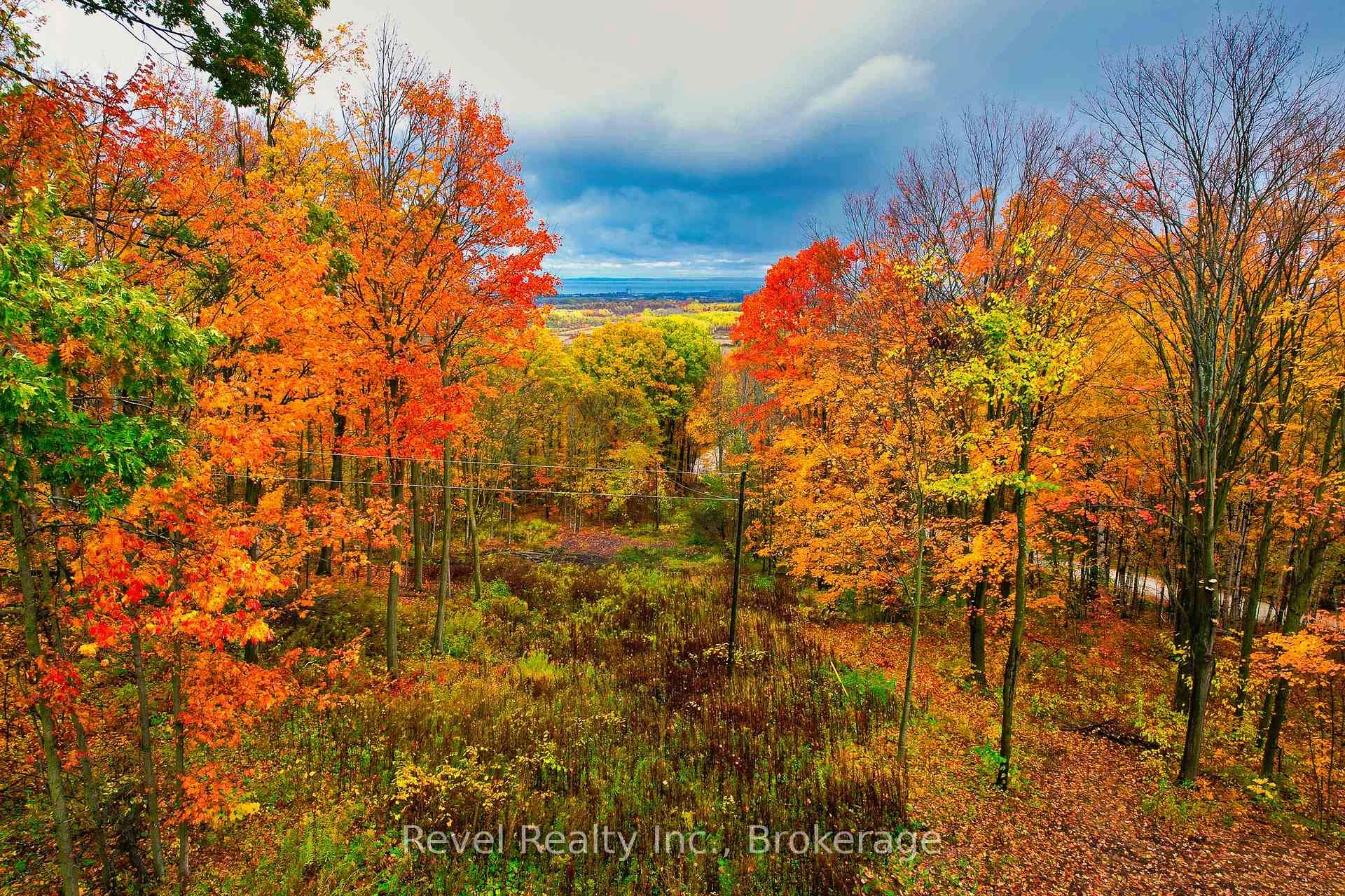 Photo 16 of 609669 12TH Side Road, Blue Mountains — HOMEH