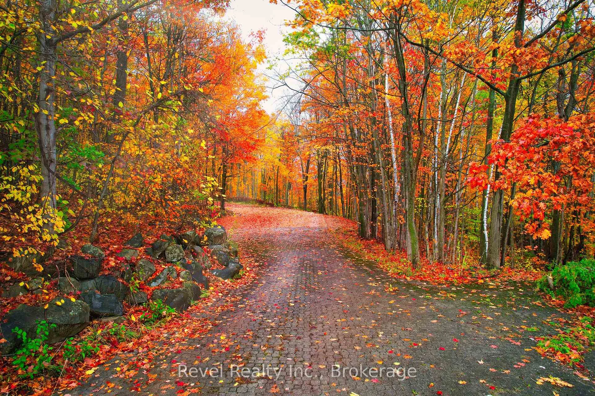 Photo 19 of 609669 12TH Side Road, Blue Mountains — HOMEH
