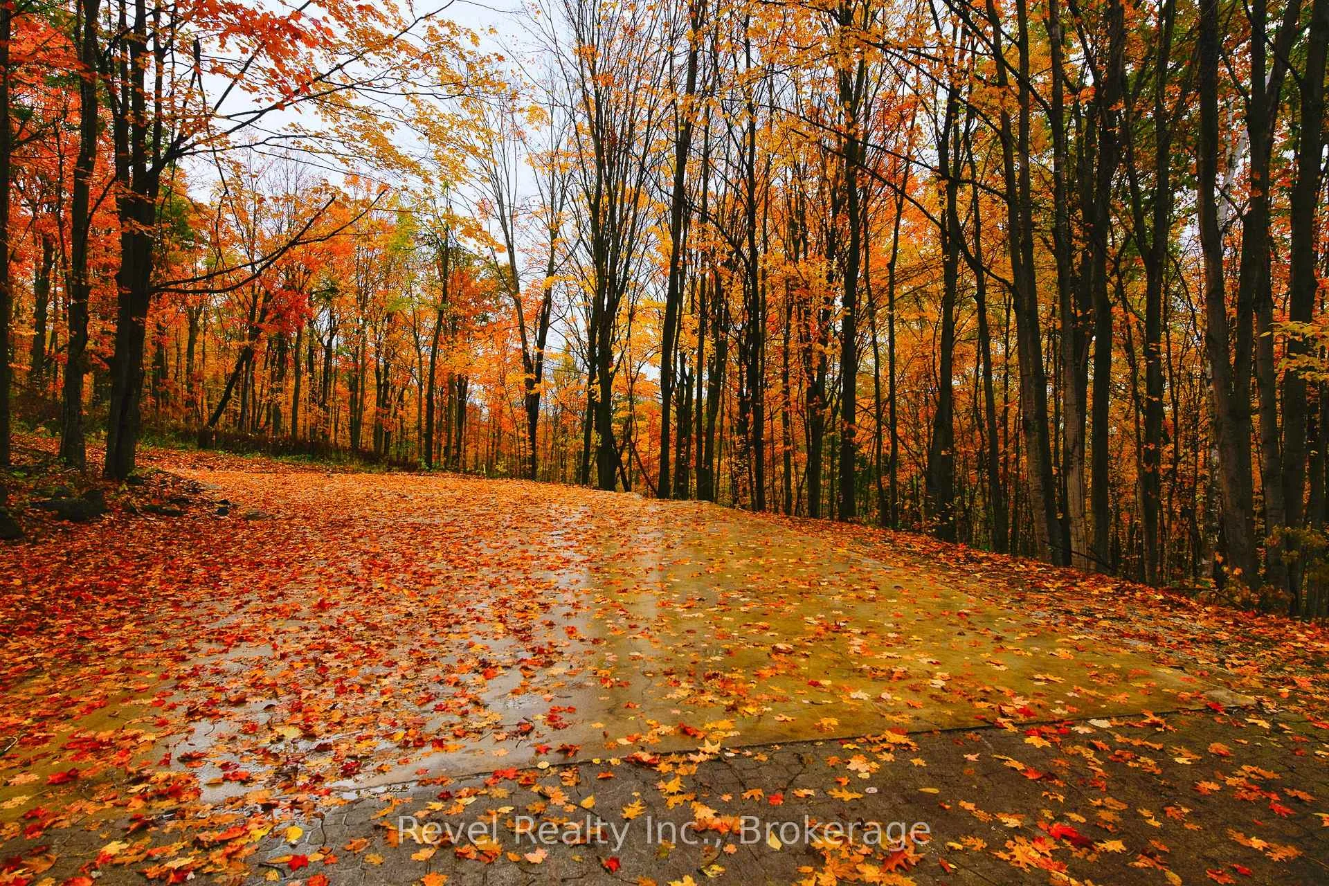 Photo 20 of 609669 12TH Side Road, Blue Mountains — HOMEH