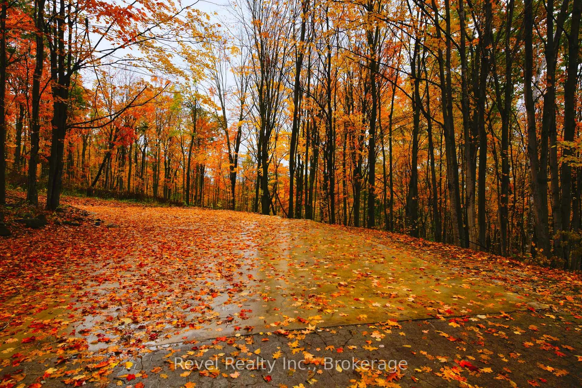 Photo 4 of 609669 12TH Side Road, Blue Mountains — HOMEH