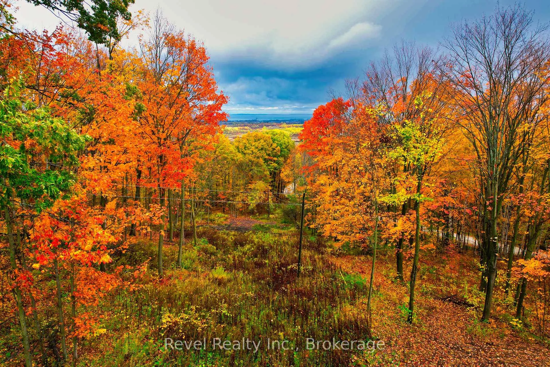Photo 10 of 609669 12TH Side Road, Blue Mountains — HOMEH