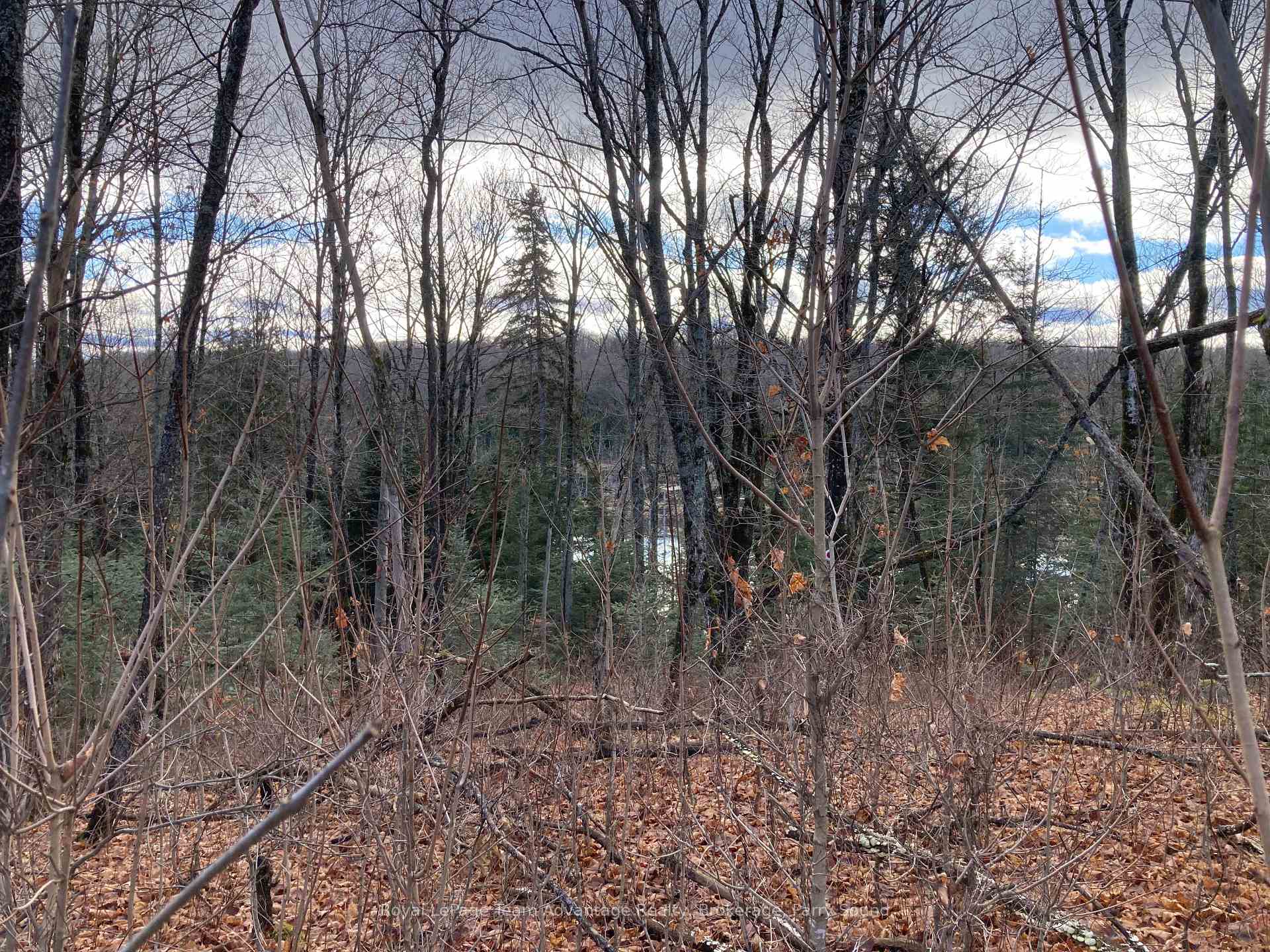 Photo 1 of 36 Ladds Road, Whitestone — HOMEH