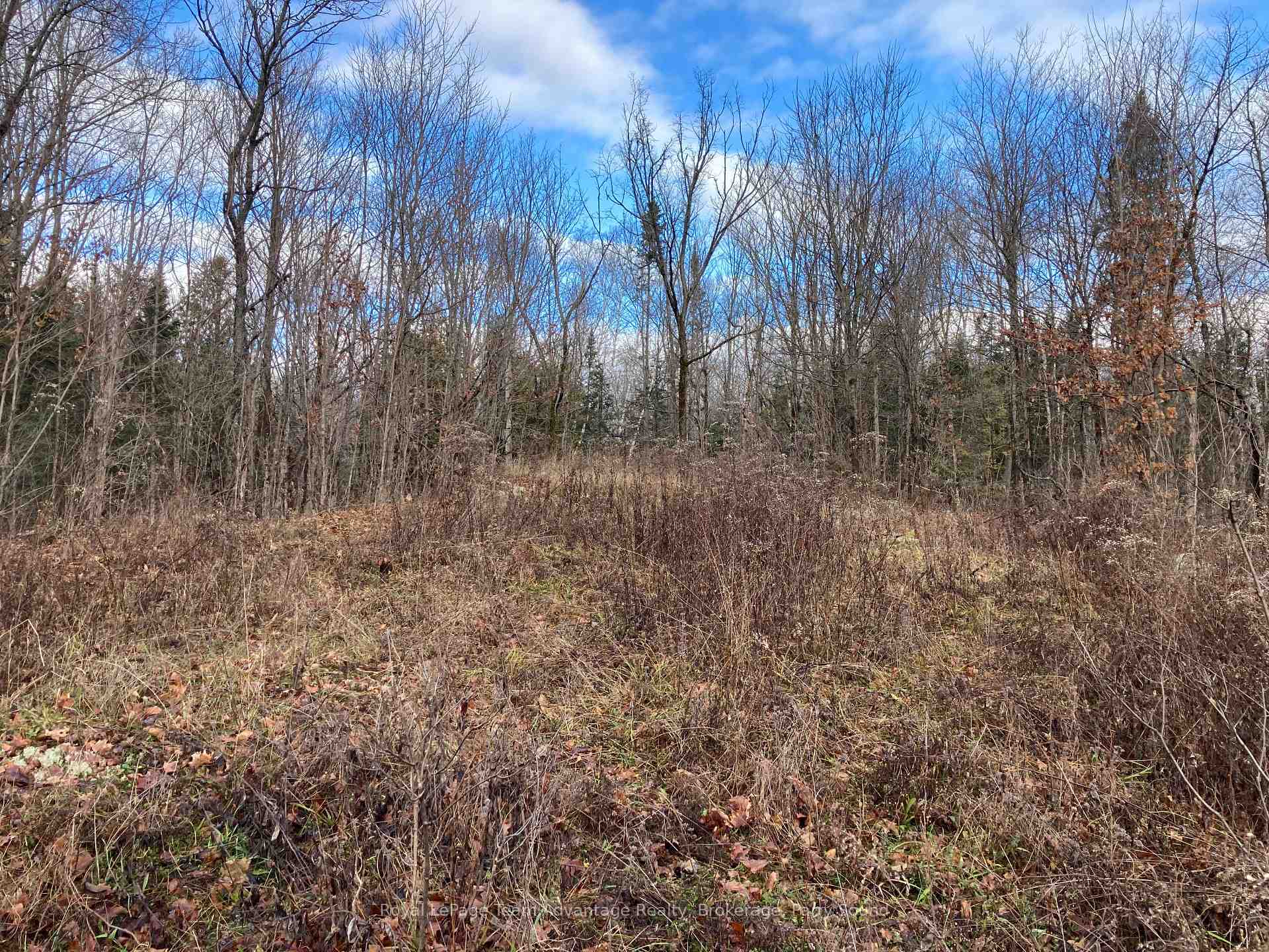 Photo 10 of 36 Ladds Road, Whitestone — HOMEH