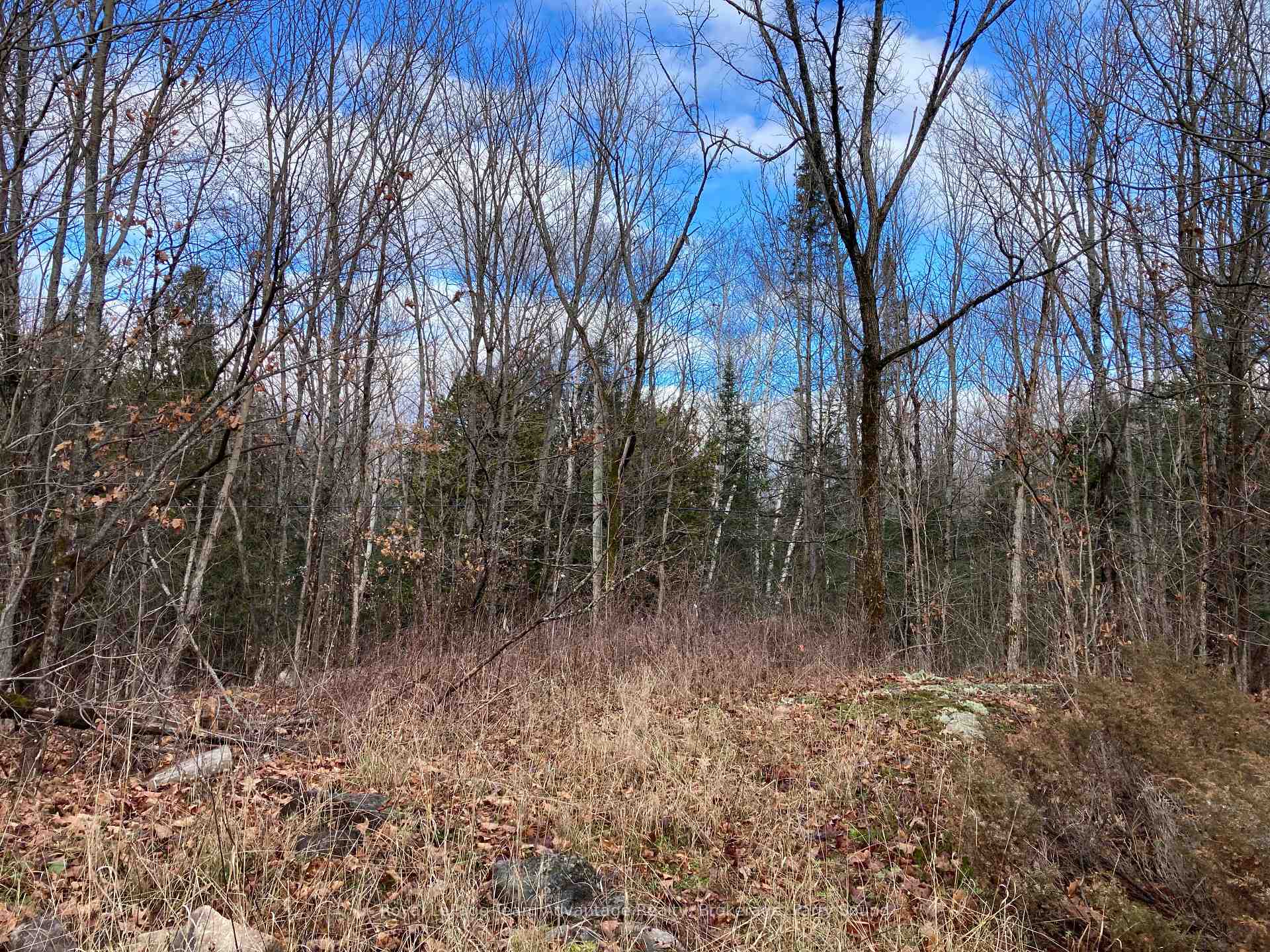Photo 11 of 36 Ladds Road, Whitestone — HOMEH