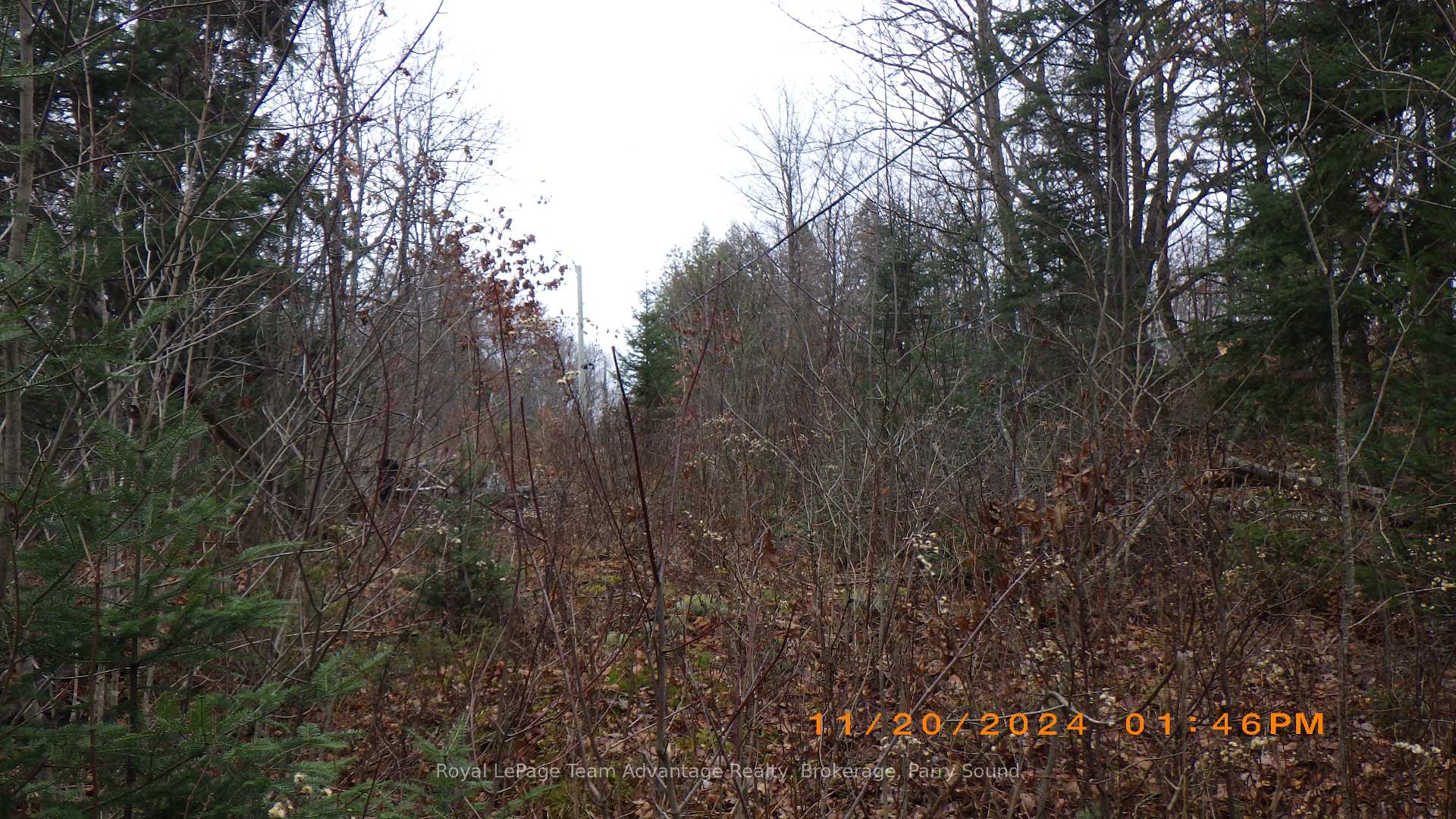 Photo 23 of 36 Ladds Road, Whitestone — HOMEH