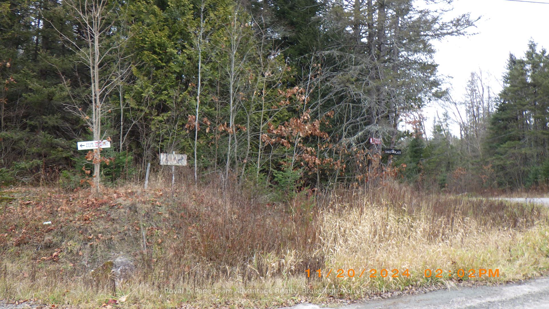 Photo 27 of 36 Ladds Road, Whitestone — HOMEH