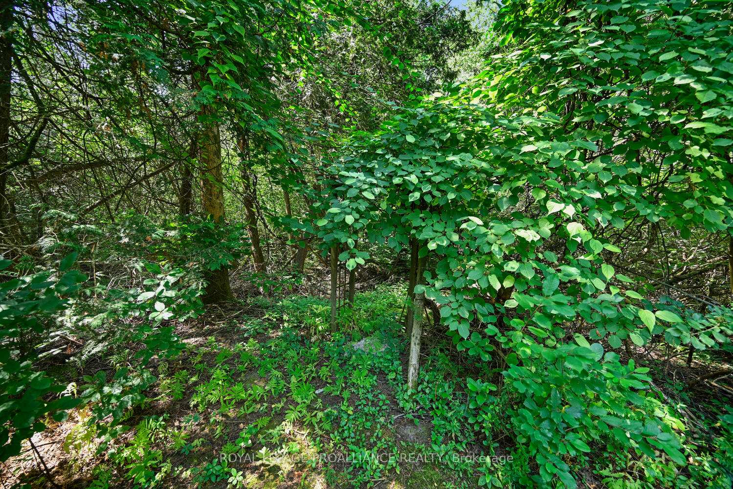 Photo 20 of 3050 Merwin Lane, Augusta, Augusta Twp — HOMEH