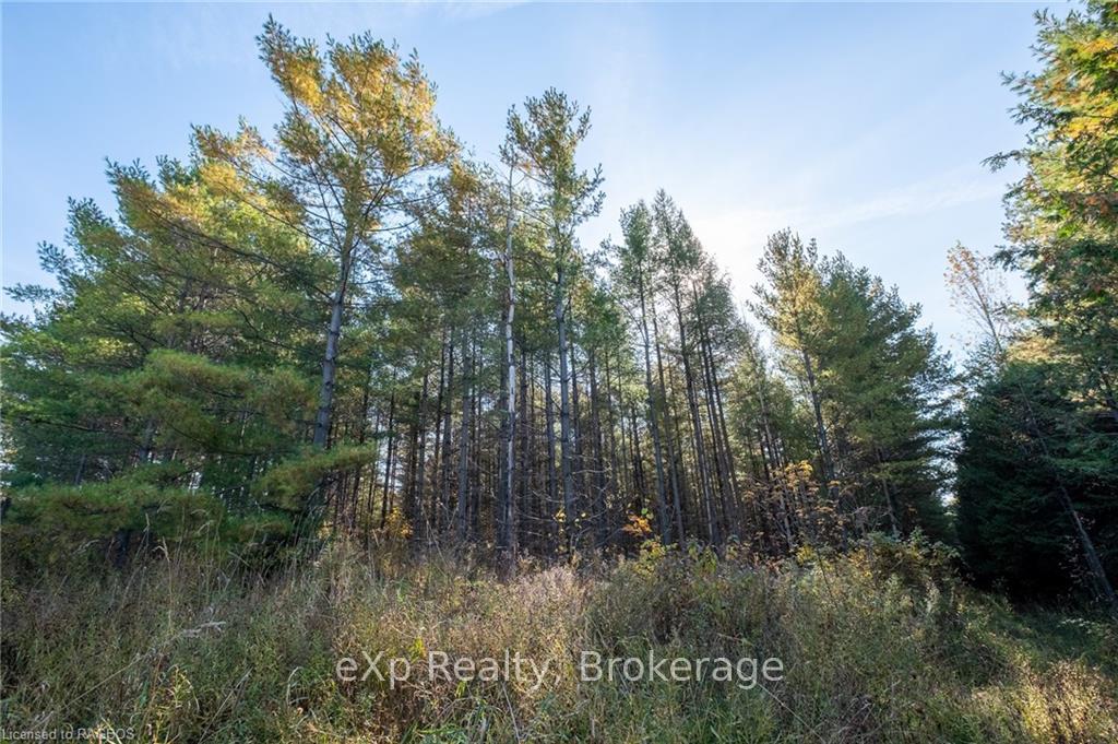 Photo 8 of LOT 25 Concession Road 10, West Grey — HOMEH