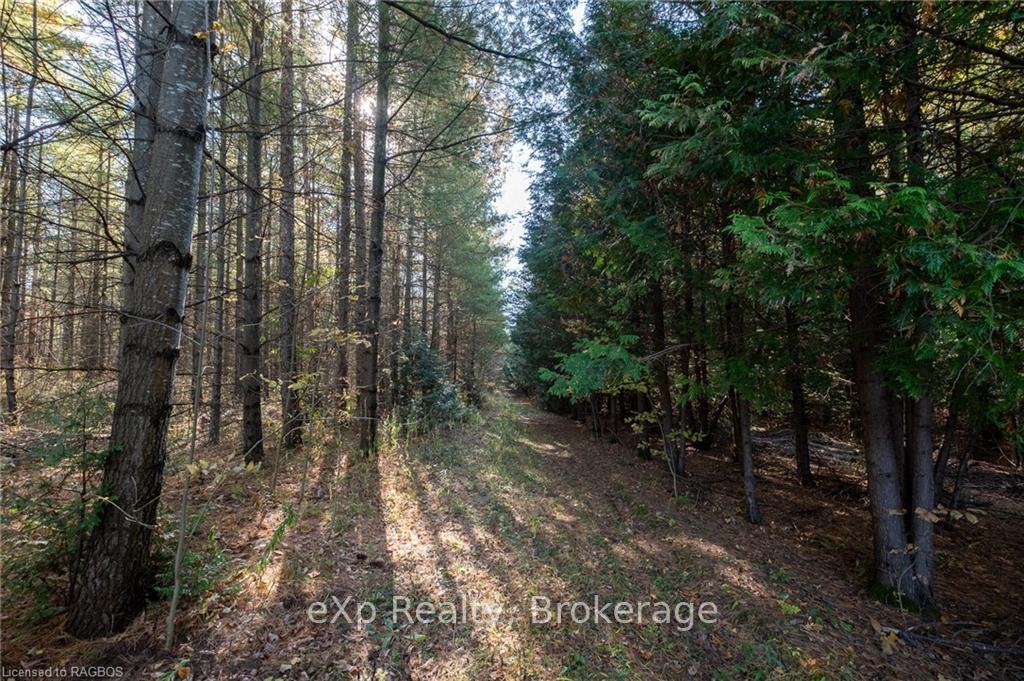Photo 11 of LOT 25 Concession Road 10, West Grey — HOMEH