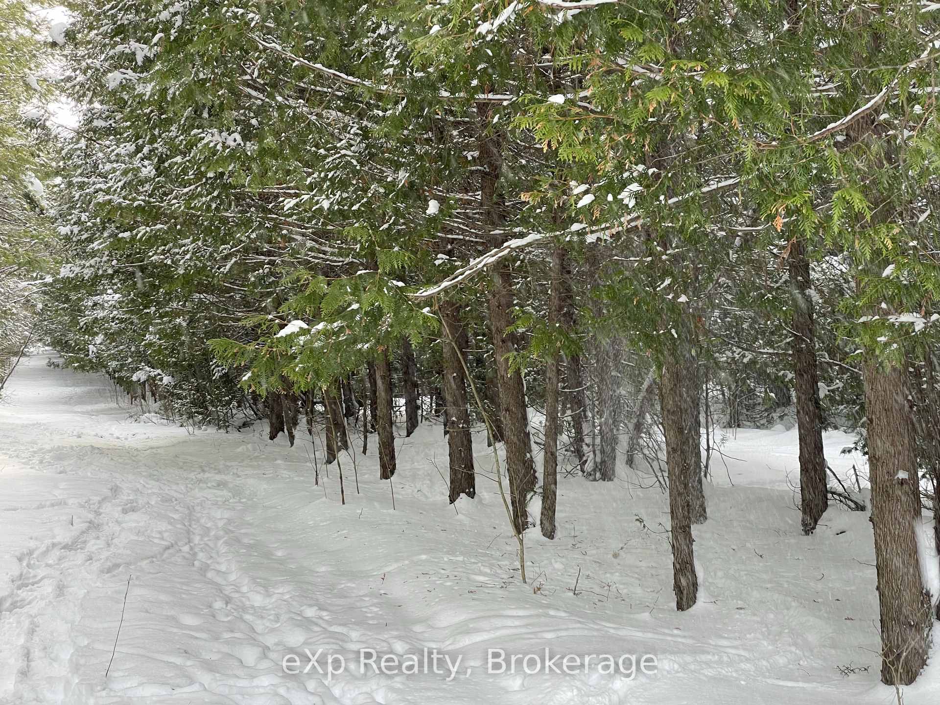 Photo 14 of LOT 25 Concession Road 10, West Grey — HOMEH