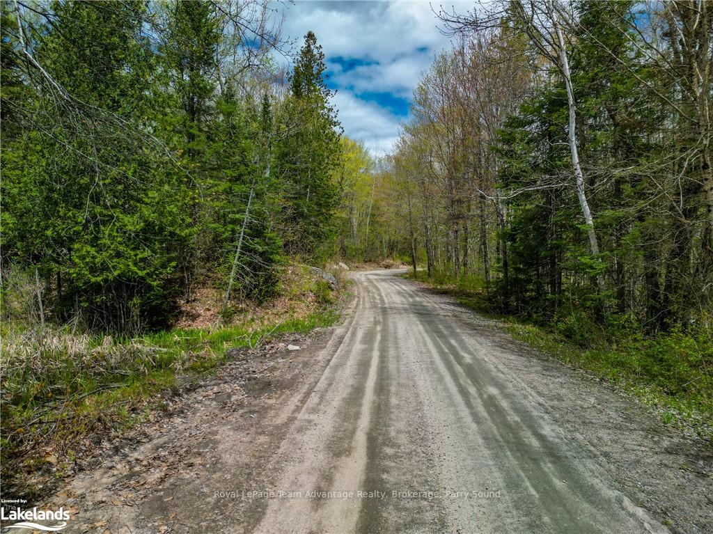 Photo 9 of 831 Shawanaga Lake Road, Whitestone, Hagerman — HOMEH
