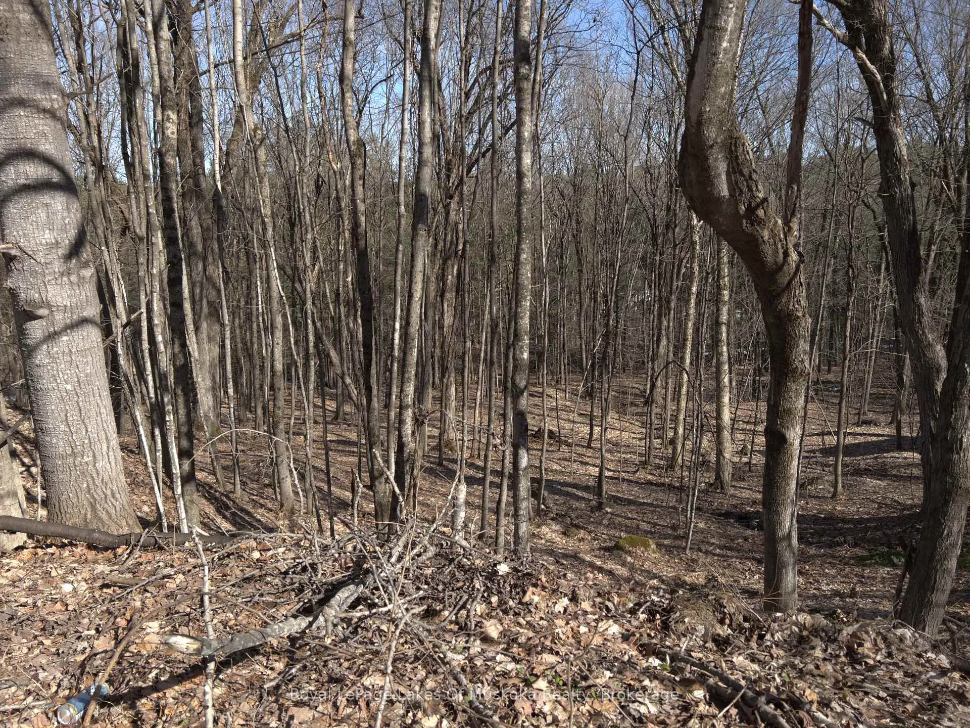Photo of 0 South Muskoka Drive