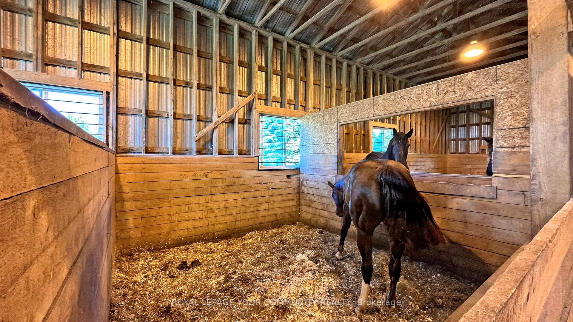 Photo 41 of 88 Highland Road, Alnwick/Haldimand, Rural Alnwick/Haldimand — HOMEH