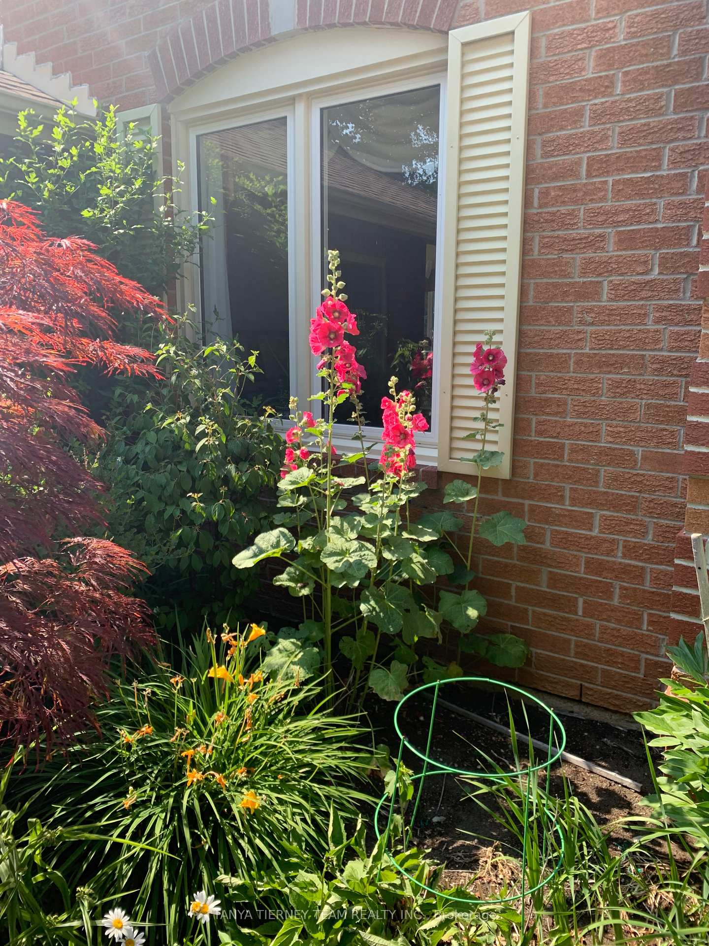 Photo 42 of 6 Lyndhurst Crescent, Whitby, Williamsburg — HOMEH