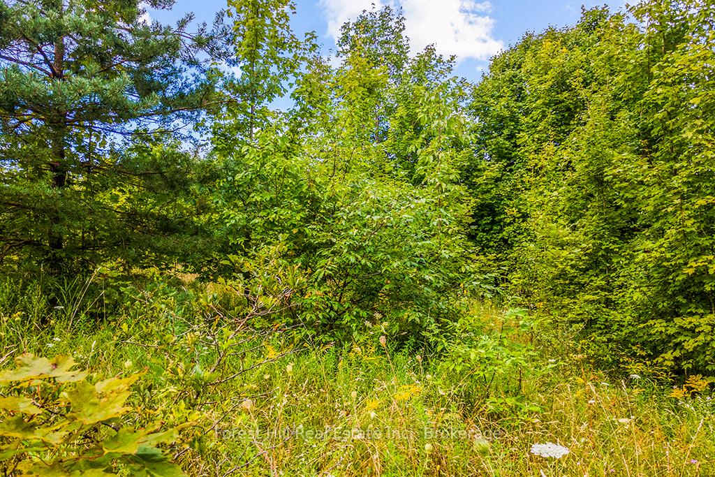 Photo 5 of LT40 Highland Drive, West Grey — HOMEH