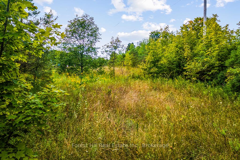 Photo 7 of LT40 Highland Drive, West Grey — HOMEH