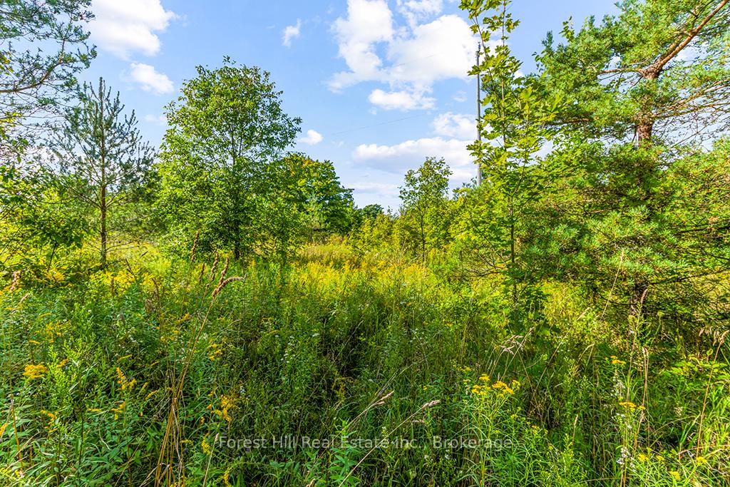 Photo 11 of LT40 Highland Drive, West Grey — HOMEH