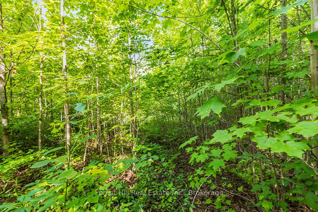 Photo 16 of LT40 Highland Drive, West Grey — HOMEH